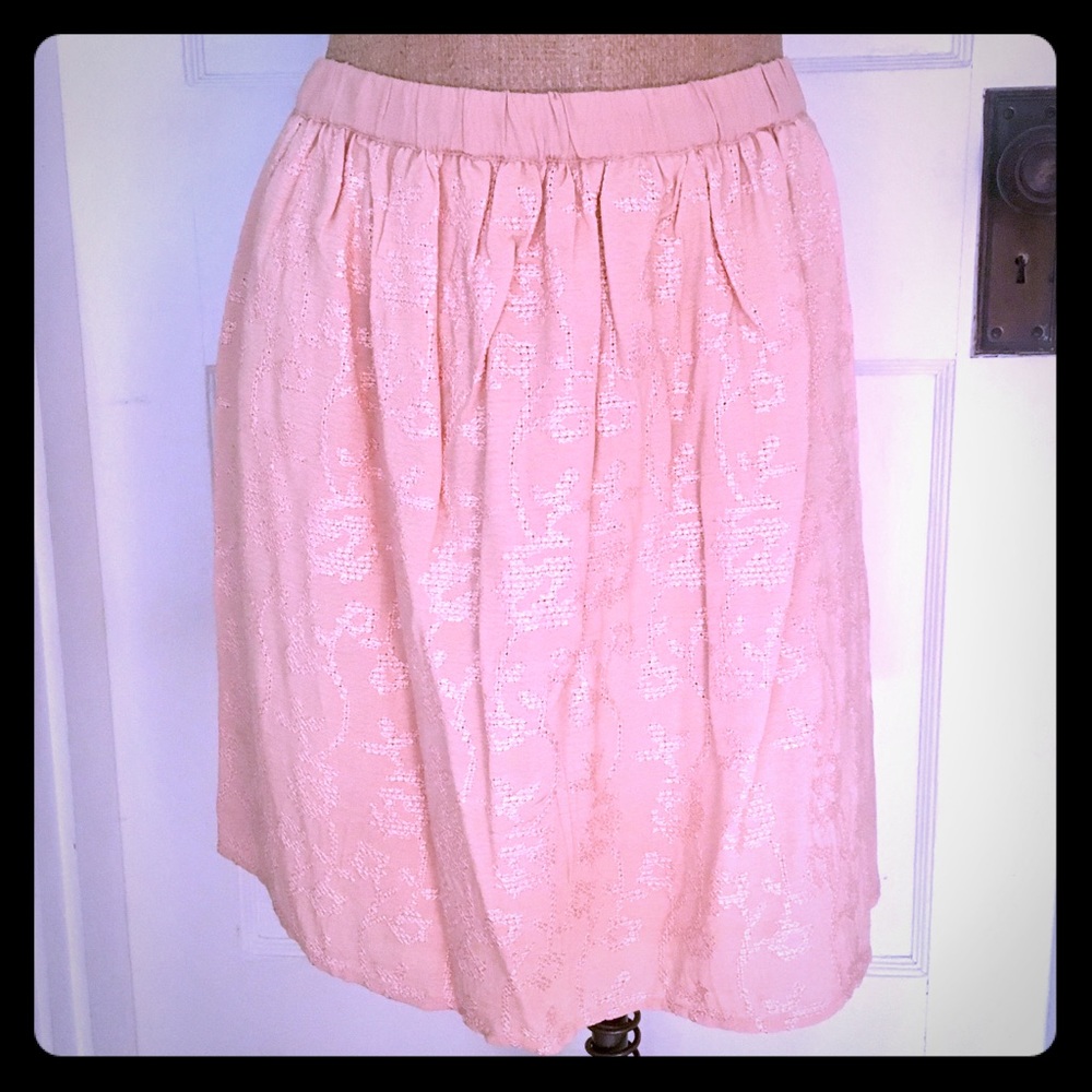 NWT Blush Embroidered Skirt